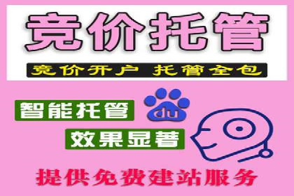 百度推广在汽车行业的营销案例